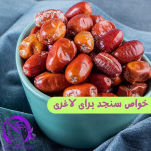 خواص سنجد برای لاغری